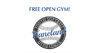 Open Gym